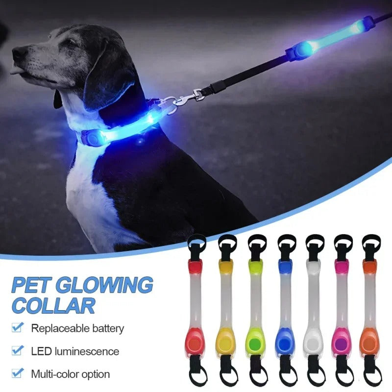 High Visibility LED Night Safety Collar