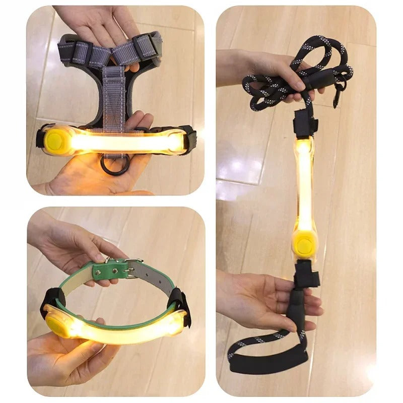 High Visibility LED Night Safety Collar