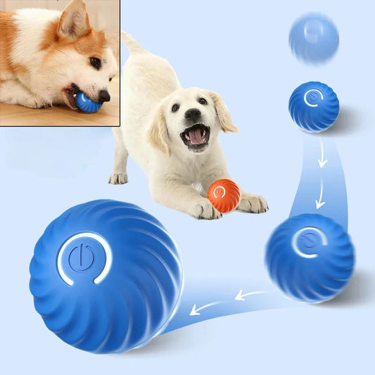 Self Moving Play Ball