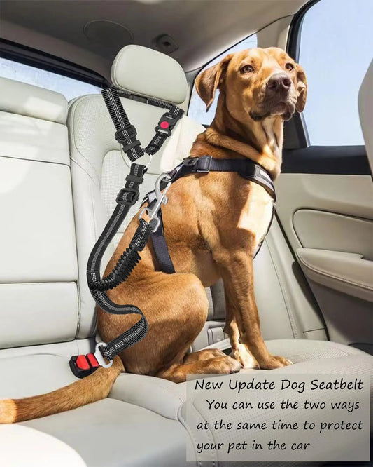 Two-in-one Seat Belt & Dog harness