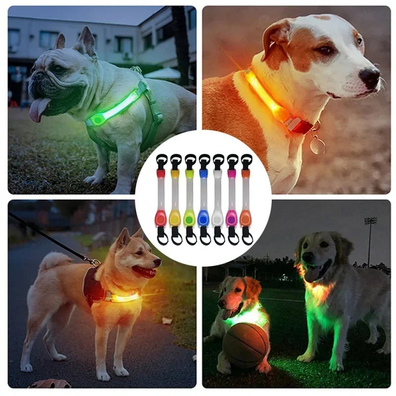 High Visibility LED Night Safety Collar